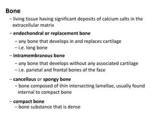 Bone
 − living tissue having significant deposits of calcium salts in the
  extracellular matrix
 − endochondral or replacement bone
   − any bone that develops in and replaces cartilage
   − i.e. long bone
 − intramembranous bone
    − any bone that develops without any associated cartilage
    − i.e. parietal and frontal bones of the face
 − cancellous or spongy bone
    − bone composed of thin intersecting lamellae, usually found
     internal to compact bone
 − compact bone
    − bone substance that is dense
 