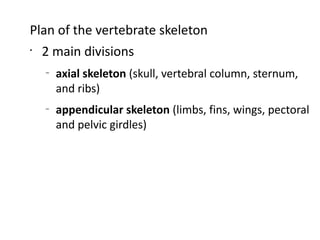 Plan of the vertebrate skeleton
•
  2 main divisions
  –
      axial skeleton (skull, vertebral column, sternum,
      and ribs)
  –
      appendicular skeleton (limbs, fins, wings, pectoral
      and pelvic girdles)
 