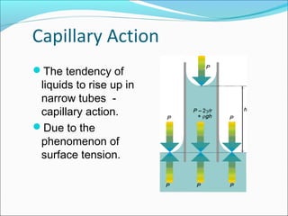 Capillary Action
The tendency of
liquids to rise up in
narrow tubes -
capillary action.
Due to the
phenomenon of
surface tension.
 