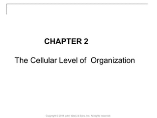 CHAPTER 2
The Cellular Level of Organization
Copyright © 2014 John Wiley & Sons, Inc. All rights reserved.
 