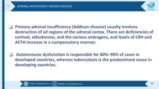 Email :info@alkafeel.edu.iq Website :http://Alkafeel.edu.iq 16
❑ Primary adrenal insufficiency (Addison disease) usually involves
destruction of all regions of the adrenal cortex. There are deficiencies of
cortisol, aldosterone, and the various androgens, and levels of CRH and
ACTH increase in a compensatory manner.
❑ Autoimmune dysfunction is responsible for 80%–90% of cases in
developed countries, whereas tuberculosis is the predominant cause in
developing countries.
ADRENAL INSUFFICIENCY: PATHOPHYSIOLOGY
 