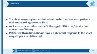 Email :info@alkafeel.edu.iq Website :http://Alkafeel.edu.iq 20
➢ The short cosyntropin stimulation test can be used to assess patients
with suspected hypercortisolism.
➢ An increase to a cortisol level of ≥18 mcg/dL (500 nmol/L) rules out
adrenal insufficiency.
➢ Patients with Addison disease have an abnormal response to the short
cosyntropin stimulation test.
DIAGNOSIS
 
