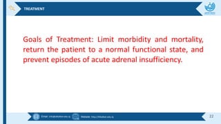 Email :info@alkafeel.edu.iq Website :http://Alkafeel.edu.iq 22
TREATMENT
Goals of Treatment: Limit morbidity and mortality,
return the patient to a normal functional state, and
prevent episodes of acute adrenal insufficiency.
 