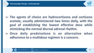 Email :info@alkafeel.edu.iq Website :http://Alkafeel.edu.iq 24
➢ The agents of choice are hydrocortisone and cortisone
acetate, usually administered two times daily, with the
goal of establishing the lowest effective dose while
mimicking the normal diurnal adrenal rhythm.
➢ Once daily prednisolone is an alternative when
adherence to a multidose regimen is a concern.
Pharmacologic Therapy : Corticosteroids
 
