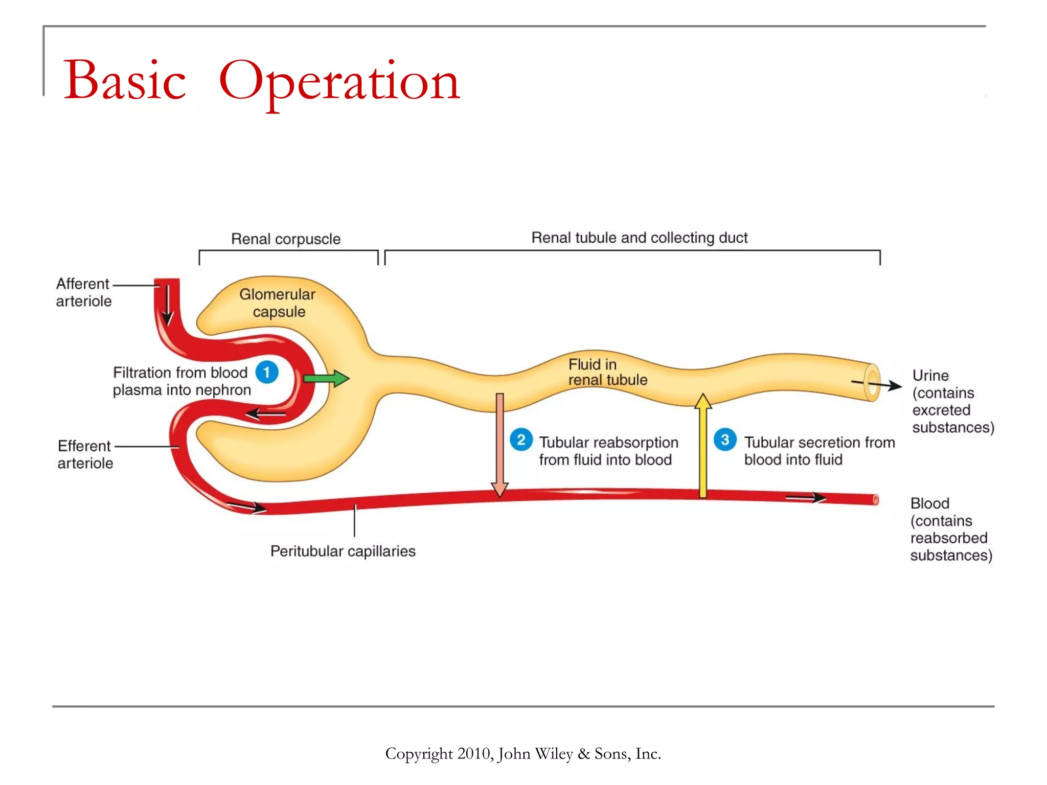 Basic Operation

Copyright 2010, John Wiley & Sons, Inc.

 