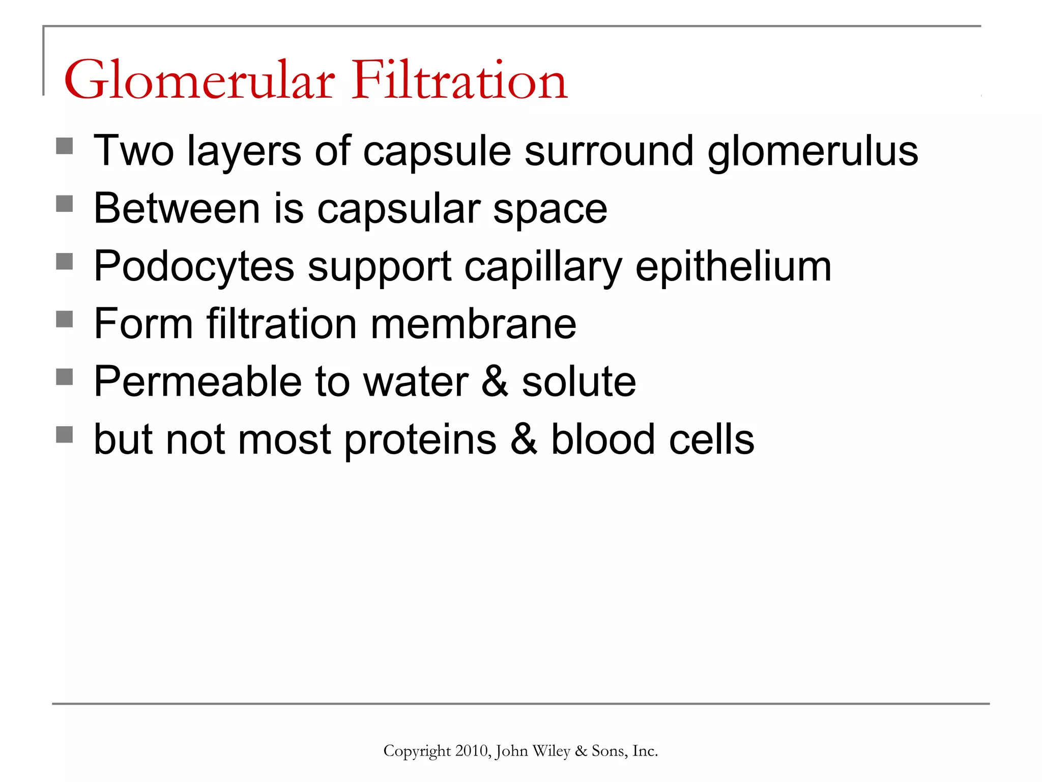 Glomerular Filtration







Two layers of capsule surround glomerulus
Between is capsular space
Podocytes support capillary epithelium
Form filtration membrane
Permeable to water & solute
but not most proteins & blood cells

Copyright 2010, John Wiley & Sons, Inc.

 