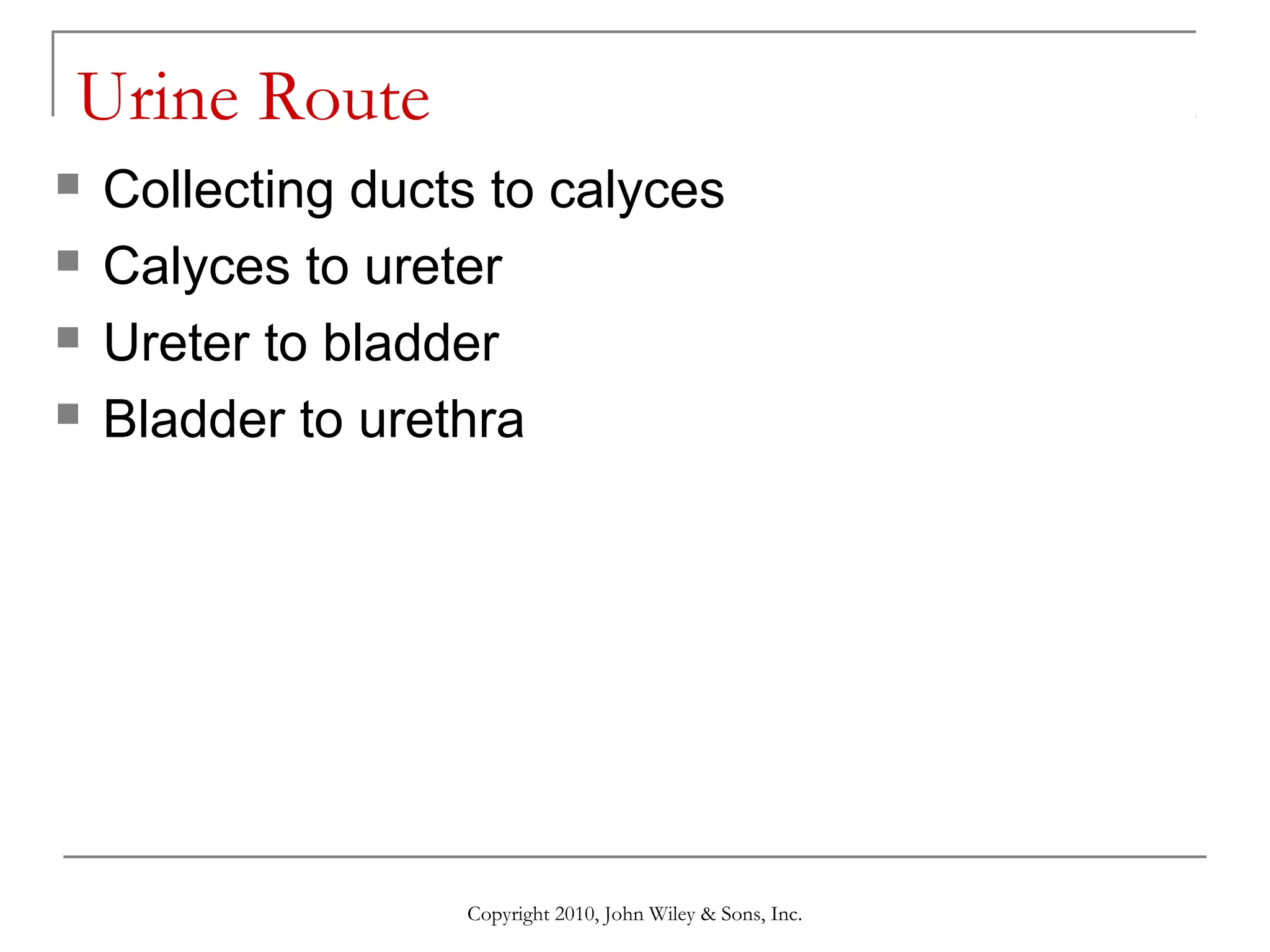Urine Route





Collecting ducts to calyces
Calyces to ureter
Ureter to bladder
Bladder to urethra

Copyright 2010, John Wiley & Sons, Inc.

 