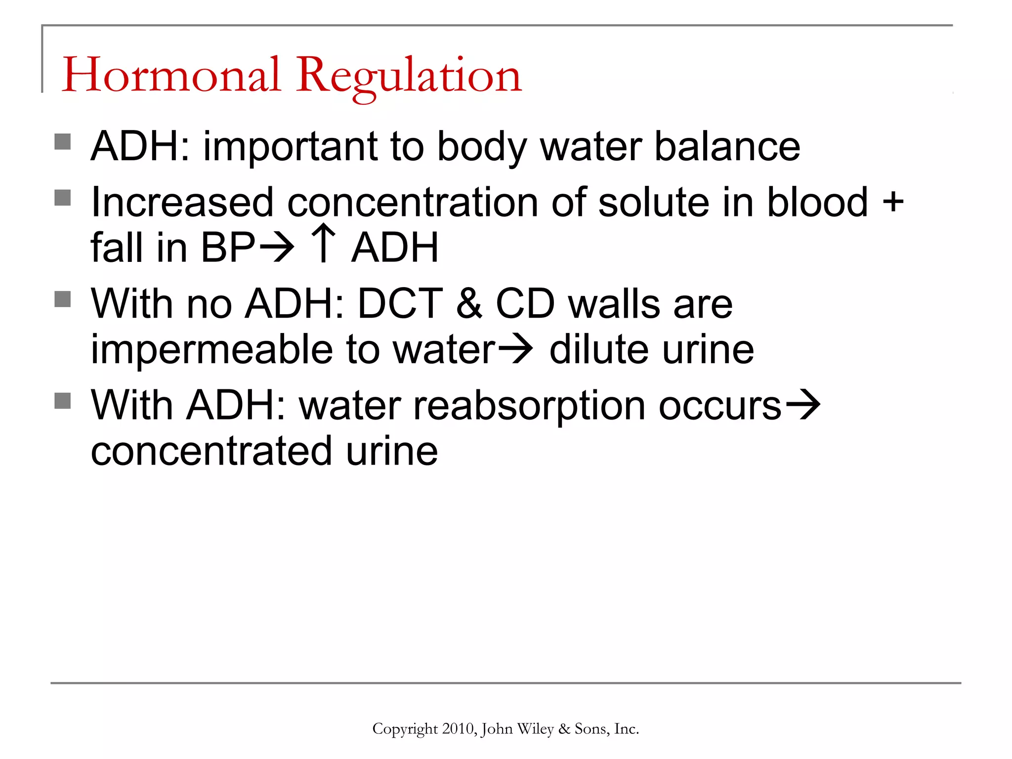 Hormonal Regulation







ADH: important to body water balance
Increased concentration of solute in blood +
fall in BP ↑ ADH
With no ADH: DCT & CD walls are
impermeable to water dilute urine
With ADH: water reabsorption occurs
concentrated urine

Copyright 2010, John Wiley & Sons, Inc.

 