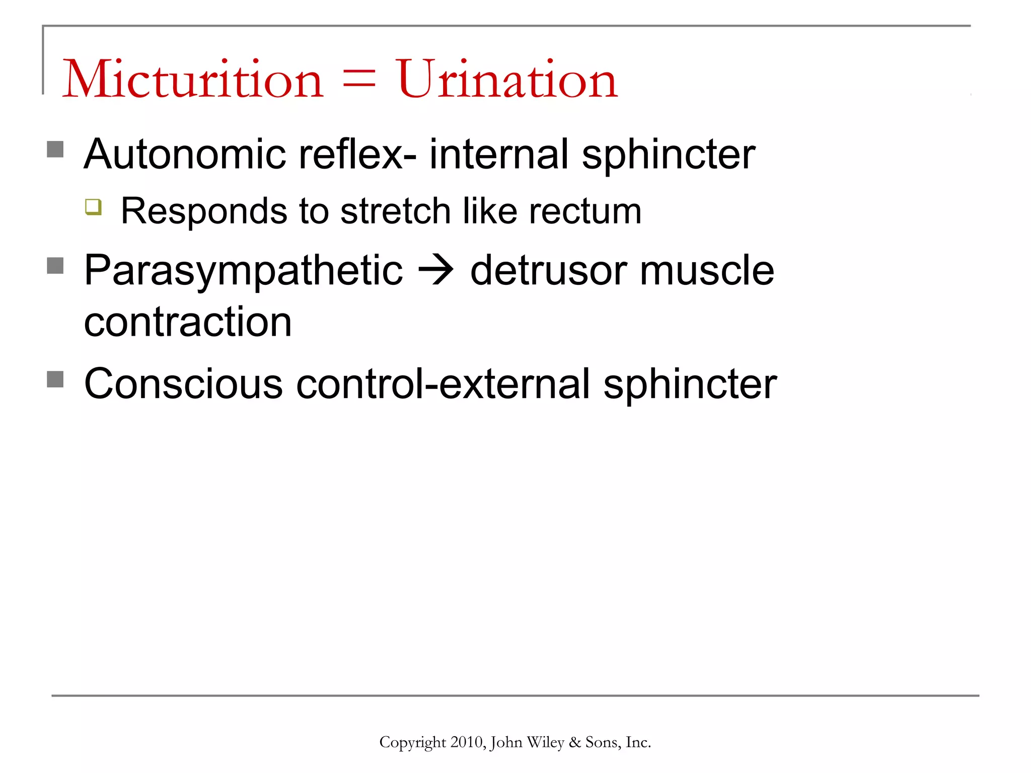 Micturition = Urination


Autonomic reflex- internal sphincter






Responds to stretch like rectum

Parasympathetic  detrusor muscle
contraction
Conscious control-external sphincter

Copyright 2010, John Wiley & Sons, Inc.

 