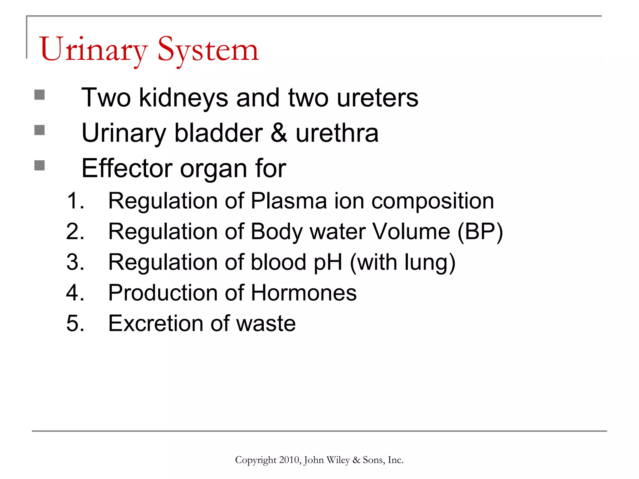 Urinary System




Two kidneys and two ureters
Urinary bladder & urethra
Effector organ for
1.
2.
3.
4.
5.

Regulation of Plasma ion composition
Regulation of Body water Volume (BP)
Regulation of blood pH (with lung)
Production of Hormones
Excretion of waste

Copyright 2010, John Wiley & Sons, Inc.

 