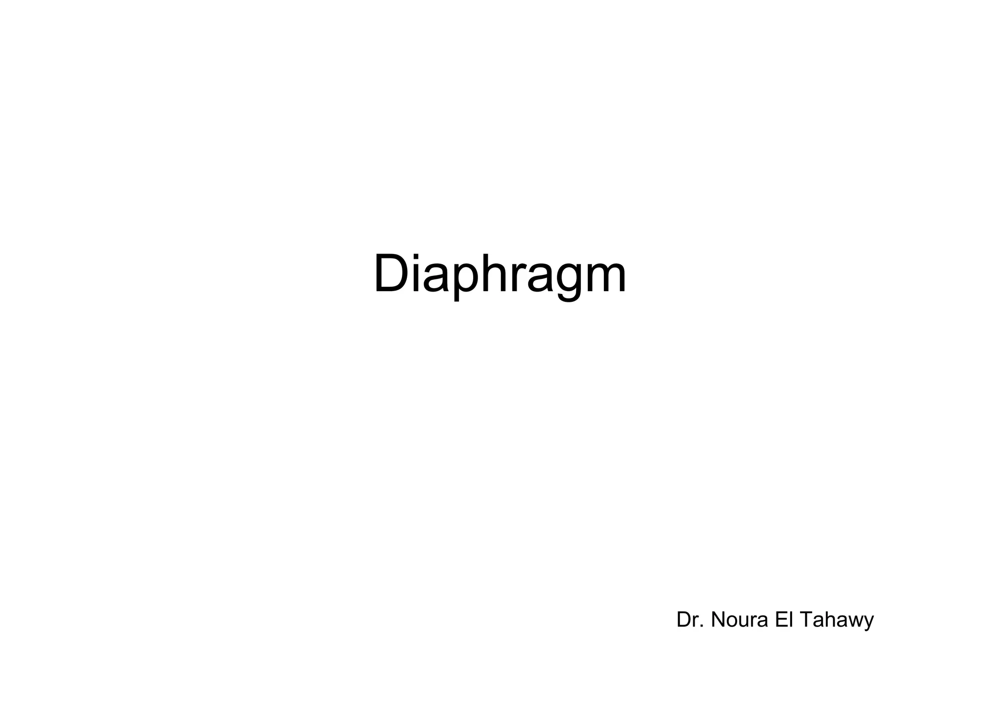 Diaphragm




            Dr. Noura El Tahawy
 