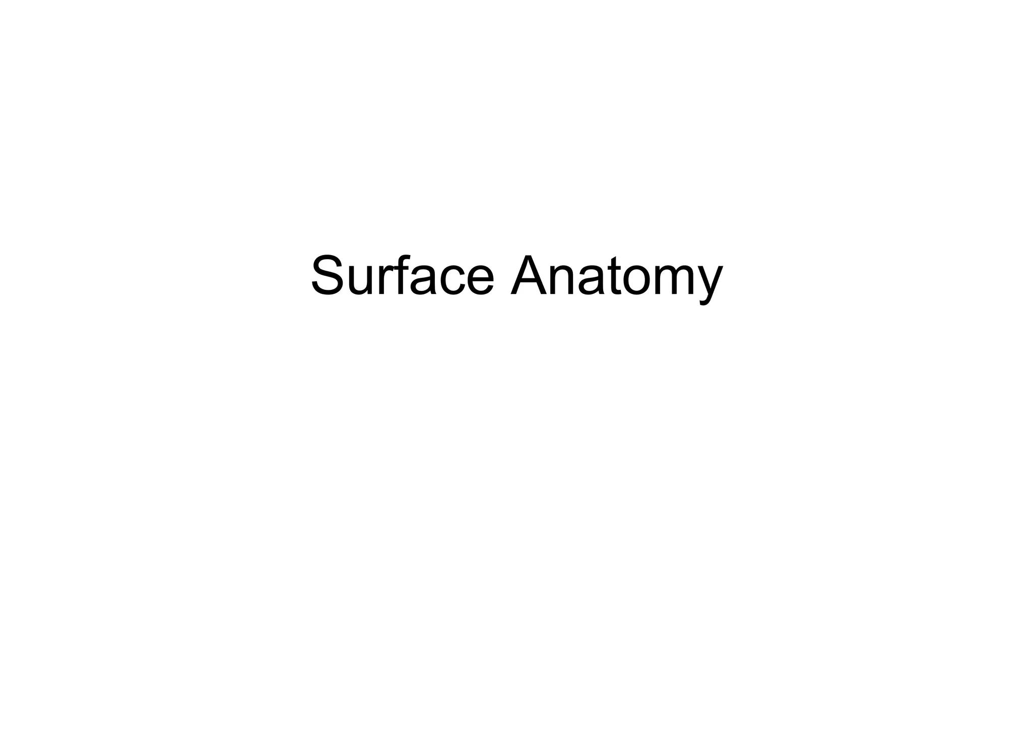 Surface Anatomy
 