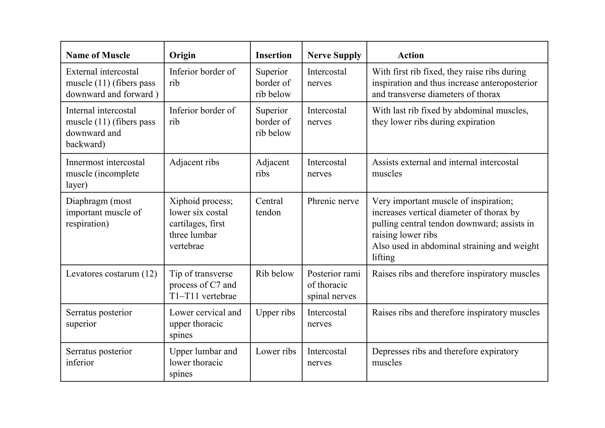 Name of Muscle             Origin               Insertion    Nerve Supply            Action
External intercostal       Inferior border of   Superior     Intercostal      With first rib fixed, they raise ribs during
muscle (11) (fibers pass   rib                  border of    nerves           inspiration and thus increase anteroposterior
downward and forward )                          rib below                     and transverse diameters of thorax
Internal intercostal       Inferior border of   Superior     Intercostal      With last rib fixed by abdominal muscles,
muscle (11) (fibers pass   rib                  border of    nerves           they lower ribs during expiration
downward and                                    rib below
backward)
Innermost intercostal      Adjacent ribs        Adjacent     Intercostal      Assists external and internal intercostal
muscle (incomplete                              ribs         nerves           muscles
layer)
Diaphragm (most            Xiphoid process;     Central      Phrenic nerve    Very important muscle of inspiration;
important muscle of        lower six costal     tendon                        increases vertical diameter of thorax by
respiration)               cartilages, first                                  pulling central tendon downward; assists in
                           three lumbar                                       raising lower ribs
                           vertebrae                                          Also used in abdominal straining and weight
                                                                              lifting
Levatores costarum (12)    Tip of transverse    Rib below    Posterior rami   Raises ribs and therefore inspiratory muscles
                           process of C7 and                 of thoracic
                           T1–T11 vertebrae                  spinal nerves
Serratus posterior         Lower cervical and   Upper ribs   Intercostal      Raises ribs and therefore inspiratory muscles
superior                   upper thoracic                    nerves
                           spines
Serratus posterior         Upper lumbar and     Lower ribs   Intercostal      Depresses ribs and therefore expiratory
inferior                   lower thoracic                    nerves           muscles
                           spines
 