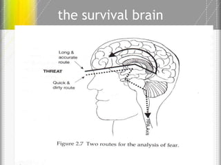Lecture 2 understanding the role of dissociation and attachment | PPTX
