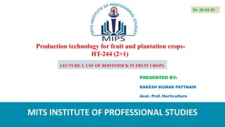 Production technology for fruit and plantation crops-
HT-244 (2+1)
PRESENTED BY:
RAKESH KUMAR PATTNAIK
Asst. Prof. Horticulture
MITS INSTITUTE OF PROFESSIONAL STUDIES
Dt- 20-04-20
LECTURE 2. USE OF ROOTSTOCK IN FRUIT CROPS
 