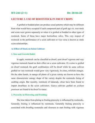 HT-244 (2+1) Dt: 20-04-20
LECTURE 2. USE OF ROOTSTOCK IN FRUIT CROPS
A grafted or budded plant can produce usual patterns which may be different
from what would have occupied if each component part of graft age viz. root stock
and scion were grown separately or when it is grafted or budded in other types of
rootstock. Some of these have major horticulture valve. This very inspect of
rootstock in the performance of a scion cultivator or vice versa is known as stock
scion relationships.
A) Effect of Stock on Scion Cultivar:
1. Size and Growth Habit:
In apple, rootstock can be classified as dwarf, semi dwarf vigorous and very
vigorous rootstock based on their effect on a scion cultivator. If a scion is grafted
on dwarf rootstock the graft combination will be dwarf while he same cultivar
grafted on very rootstock would grow very vigorously. In citrus, trifoliate oranges.
On the other hands, in mango all plants of a given variety are known to have the
same characteristic canopy shape of the variety despite the rootstocks being of
seedling origin. But recently, rootstock of kakarady, olour have been found to
impart dwarfness in the scion cultivators. Guava cultivars grafted on psidium
puminum are found to be dwarf in statue.
2. Precocity in Flowering and Fruiting:
The time taken from plating to fruiting precocity is influenced by rootstocks.
Generally fruiting is influenced by rootstocks. Generally fruiting precocity is
associated with dwarfing rootstocks and slowness to start fruiting with vigorous
 