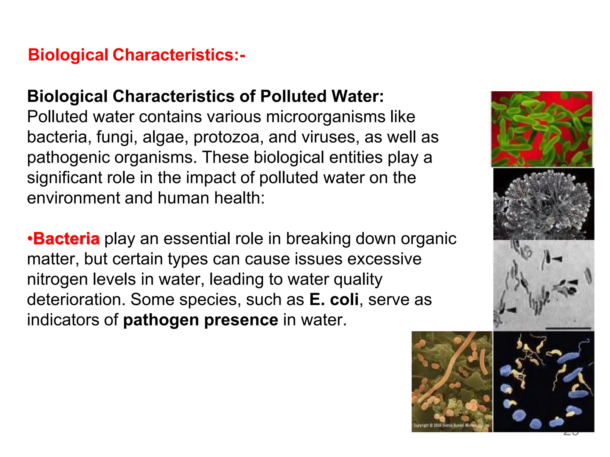 29
Biological Characteristics:-
Biological Characteristics of Polluted Water:
Polluted water contains various microorganisms like
bacteria, fungi, algae, protozoa, and viruses, as well as
pathogenic organisms. These biological entities play a
significant role in the impact of polluted water on the
environment and human health:
•Bacteria play an essential role in breaking down organic
matter, but certain types can cause issues excessive
nitrogen levels in water, leading to water quality
deterioration. Some species, such as E. coli, serve as
indicators of pathogen presence in water.
 