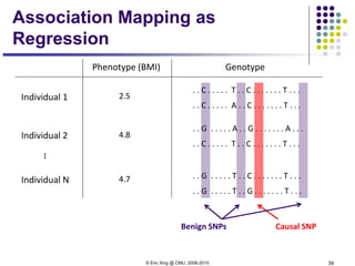 © Eric Xing @ CMU, 2006-2010 39
Individual 1
Individual 2
Individual N
Phenotype (BMI)
2.5
4.8
4.7
Genotype
. . C . . . . . T . . C . . . . . . . T . . .
. . C . . . . . A . . C . . . . . . . T . . .
. . G . . . . . A . . G . . . . . . . A . . .
. . C . . . . . T . . C . . . . . . . T . . .
. . G . . . . . T . . C . . . . . . . T . . .
. . G . . . . . T . . G . . . . . . . T . . .
Causal SNPBenign SNPs
…
Association Mapping as
Regression
 