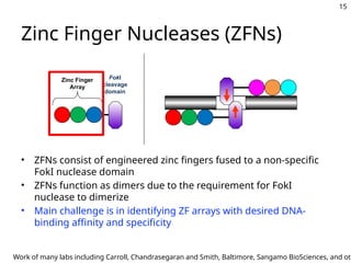 Lecture 2 ZFs and TALE arrays in genome editing.pptx