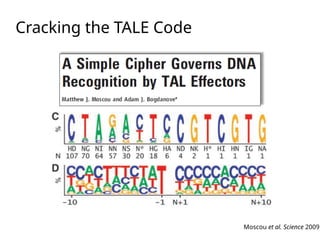 Lecture 2 ZFs and TALE arrays in genome editing.pptx