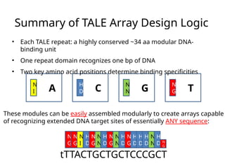 Tale Dna Binding Lecture 2 ZFs and TALE arrays in genome editing.pptx