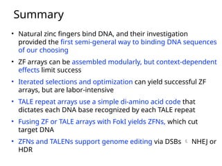 Lecture 2 ZFs and TALE arrays in genome editing.pptx