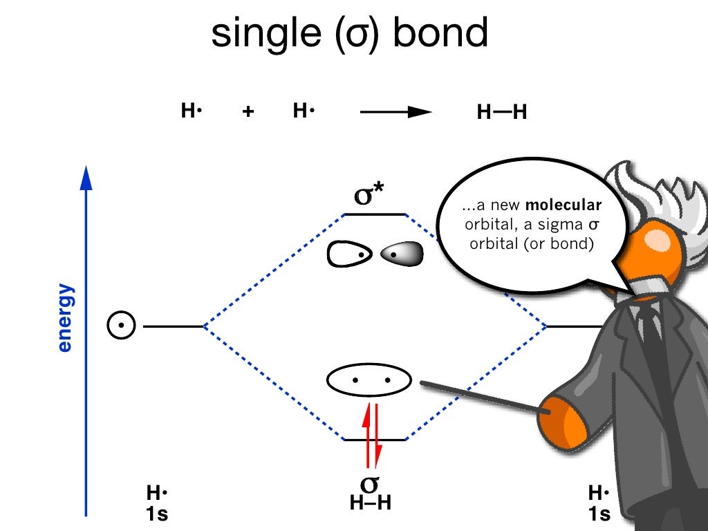 single (σ) bond H•