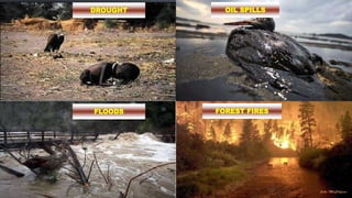 28
28
DROUGHT
FOREST FIRESFLOODS
OIL SPILLS
 