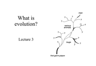 What is evolution? Lecture 3 