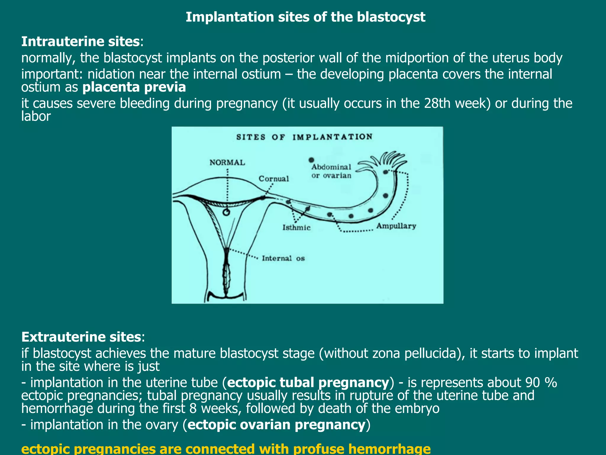 Implantation sites  of the blastocyst Intrauterine sites :  normally ,  the blastocyst implants on the posterior wall of the midportion of the uterus body important: nidation  near the internal ostium  – the  develop ing  placenta covers the internal ostium as  placenta previa it  cause s  severe bleeding during pregnancy ( it usually occurs  in the 28th week) or  during the labor Extrauterine sites :  i f blastocyst  achieves  the mature blastocyst  stage ( without zona pellucida) , it  starts to implant in the site where is just  -  implantation in the uterine tube ( ectopic tubal pregnancy ) - is represents about 90 % ectopic pregnancies; tubal pregnancy usually results in rupture of the uterine tube and hemorrhage during the first 8 weeks, followed by death of the embryo   - implantation in the ovary ( ectopic ovarian pregnancy ) ectopic pregnancies are connected with profuse hemorrhage 