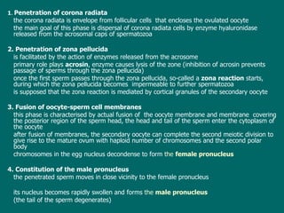 1 .   Penetration of corona radiata the  corona radiata  is envelope from  follicular cells  that  encloses the ovulated oocyte the main goal of this phase  is d ispersal of corona radiata cells  by  enzyme hyaluronidase released from the acrosomal cap s of spermatozoa   2. Penetration of zona pellucida is facilitated by the action of enzymes released from the acrosome primary role plays  acrosin ,   enzyme causes  lysis of  the zone  (inhibition of acrosin prevents passage of sperms through the zona pellucida) o nce the first sperm passes through the zona pellucida,  so-called  a  zona reaction   starts, during which the zona pellucida becomes  impermeable to  further  spermato z oa is  supposed  that the zona reaction  is  mediate d by  cortical granules of the secondary oocyte 3. Fusion of oocyte-sperm cell membranes this phase  is characterised by  actual fusion  of  the oocyte membrane and membrane  covering  the posterior region of the sperm head , t he head and tail of the sperm enter the cytoplasm of the oocyte after fusion of membranes, t he secondary oocyte  can  complete   the second meiotic division  to give rise to the mature ovum with  haploid number  of chromosomes and  the second polar body  chromosomes in the egg nucleus decondense to form  the  female pronucleus 4. Constitution of the male pronucleus t he penetrated sperm moves in close vicinity to the female pronucleus  its nucleus becomes rapidly swollen and forms  the  male pronucleus   ( the tail of the sperm degenerates ) 