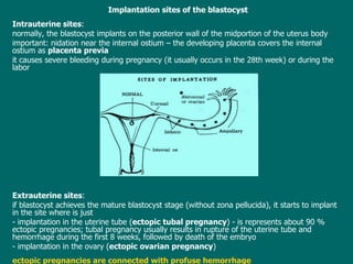 Implantation sites  of the blastocyst Intrauterine sites :  normally ,  the blastocyst implants on the posterior wall of the midportion of the uterus body important: nidation  near the internal ostium  – the  develop ing  placenta covers the internal ostium as  placenta previa it  cause s  severe bleeding during pregnancy ( it usually occurs  in the 28th week) or  during the labor Extrauterine sites :  i f blastocyst  achieves  the mature blastocyst  stage ( without zona pellucida) , it  starts to implant in the site where is just  -  implantation in the uterine tube ( ectopic tubal pregnancy ) - is represents about 90 % ectopic pregnancies; tubal pregnancy usually results in rupture of the uterine tube and hemorrhage during the first 8 weeks, followed by death of the embryo   - implantation in the ovary ( ectopic ovarian pregnancy ) ectopic pregnancies are connected with profuse hemorrhage 