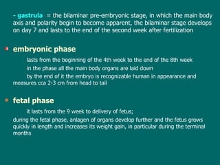 -  gastrula   =   the  bilaminar pre-embryonic stage ,  in which the main body axis  and polarity  begin to become apparent, the  bilaminar  stage develop s   on day 7 and lasts to  the end of the  second  week after fertilization   embryonic phase lasts from the beginning of the 4th week to the end of the 8th week in  th e   phase  all the main body organs are laid down by the end of  it  the embryo is recognizabl e  human in appearance  and   measures  cca  2-3 cm from head to tail fetal phase   it lasts from the 9 week to  delivery  of fetus;  during th e   fetal  phase, anlagen of organs develop further and the fetus grows quic kly  in length and increases its weight gain, in particular during the terminal months 