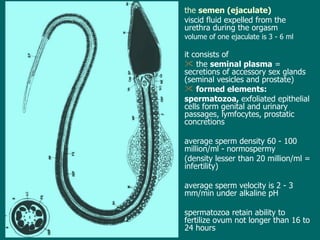 the  semen  ( ejaculate ) viscid fluid expelled from the urethra during the orgasm  volume of one ejaculate  is   3  - 6 ml  it consists of  the  seminal plasma  =  secretions of accessory sex glands (seminal vesicles and prostate) formed elements: spermatozoa,  exfoliated epithelial cells form genital and urinary passages, lymfocytes, prostatic concretions average sperm density  60 -  100 million/ml  - normospermy   (density lesser than 20 million/ml = infertility) average sperm velocity is 2 - 3 mm/min under alkaline pH spermatozoa retain ability to fertilize ovum not longer than 16 to 24 hours 