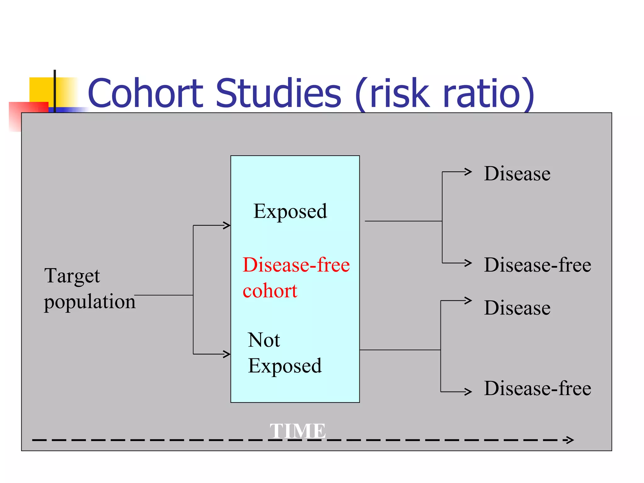 Cohort Studies (risk ratio) Target population Disease Disease-free Disease Disease-free TIME Exposed Not Exposed Disease-free cohort 
