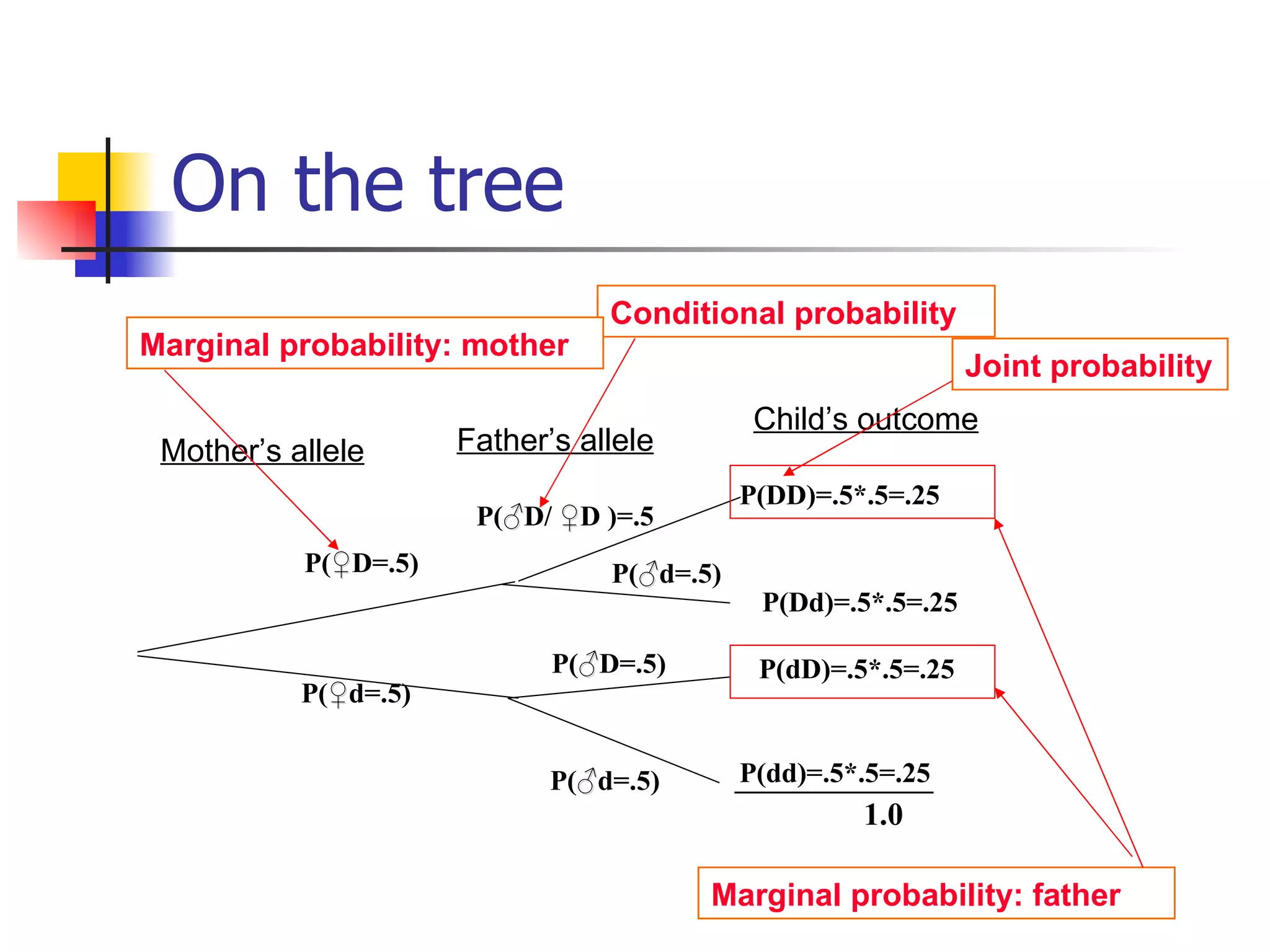 On the tree P( ♂ D/  ♀ D )=.5 P( ♂ d=.5) P( ♂ D=.5) P( ♂ d=.5) Father’s allele P( ♀ D=.5) P( ♀ d=.5) Mother’s allele ______________ 1.0 P(DD)=.5*.5=.25 P(Dd)=.5*.5=.25 P(dD)=.5*.5=.25 P(dd)=.5*.5=.25 Child’s outcome Conditional probability Marginal probability: mother Joint probability Marginal probability: father 