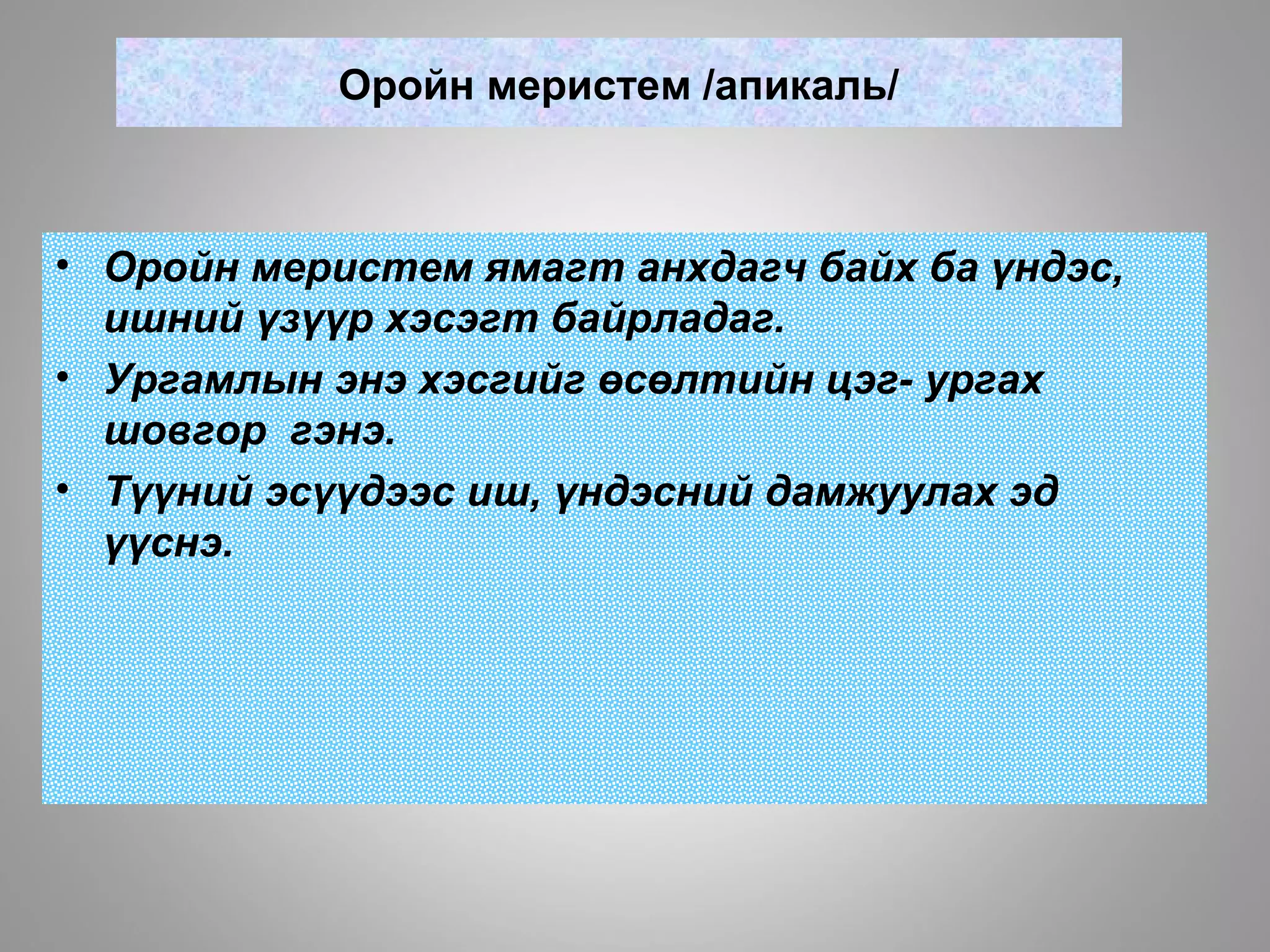 Оройн меристем /апикаль/
• Оройн меристем ямагт анхдагч байх ба үндэс,
ишний үзүүр хэсэгт байрладаг.
• Ургамлын энэ хэсгийг өсөлтийн цэг- ургах
шовгор гэнэ.
• Түүний эсүүдээс иш, үндэсний дамжуулах эд
үүснэ.
 
