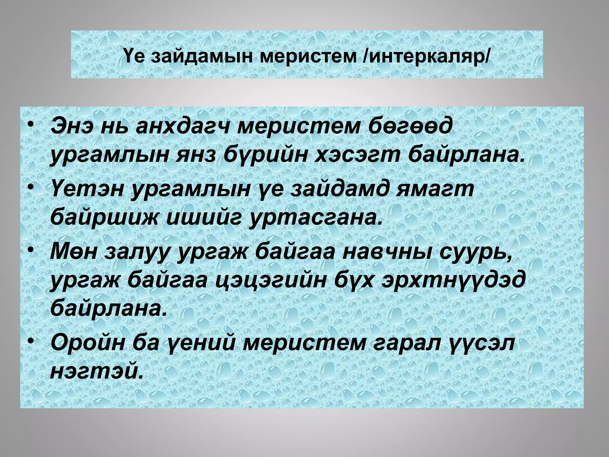Үе зайдамын меристем /интеркаляр/
• Энэ нь анхдагч меристем бөгөөд
ургамлын янз бүрийн хэсэгт байрлана.
• Үетэн ургамлын үе зайдамд ямагт
байршиж ишийг уртасгана.
• Мөн залуу ургаж байгаа навчны суурь,
ургаж байгаа цэцэгийн бүх эрхтнүүдэд
байрлана.
• Оройн ба үений меристем гарал үүсэл
нэгтэй.
 