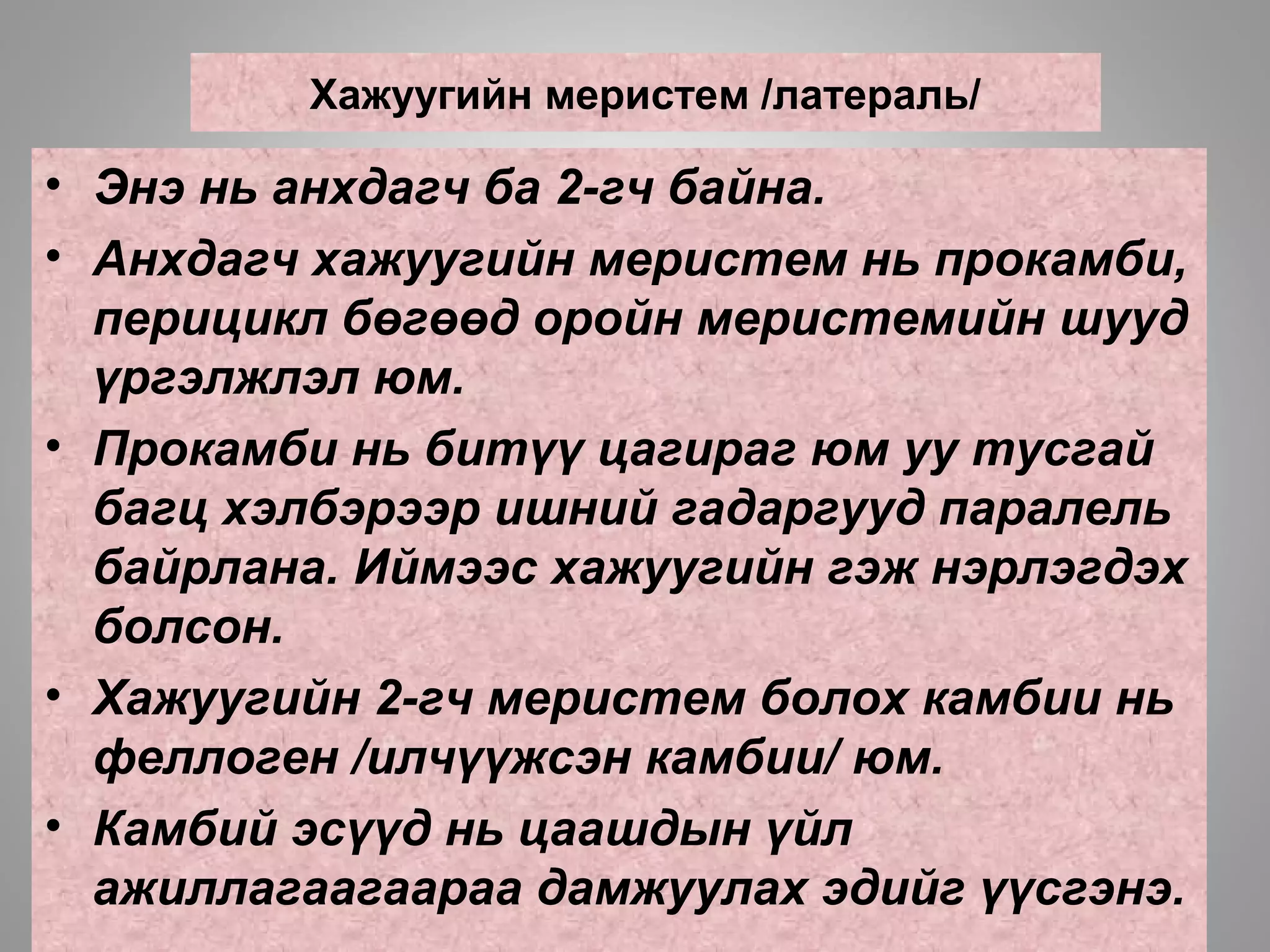 Хажуугийн меристем /латераль/
• Энэ нь анхдагч ба 2-гч байна.
• Анхдагч хажуугийн меристем нь прокамби,
перицикл бөгөөд оройн меристемийн шууд
үргэлжлэл юм.
• Прокамби нь битүү цагираг юм уу тусгай
багц хэлбэрээр ишний гадаргууд паралель
байрлана. Иймээс хажуугийн гэж нэрлэгдэх
болсон.
• Хажуугийн 2-гч меристем болох камбии нь
феллоген /илчүүжсэн камбии/ юм.
• Камбий эсүүд нь цаашдын үйл
ажиллагаагаараа дамжуулах эдийг үүсгэнэ.
 