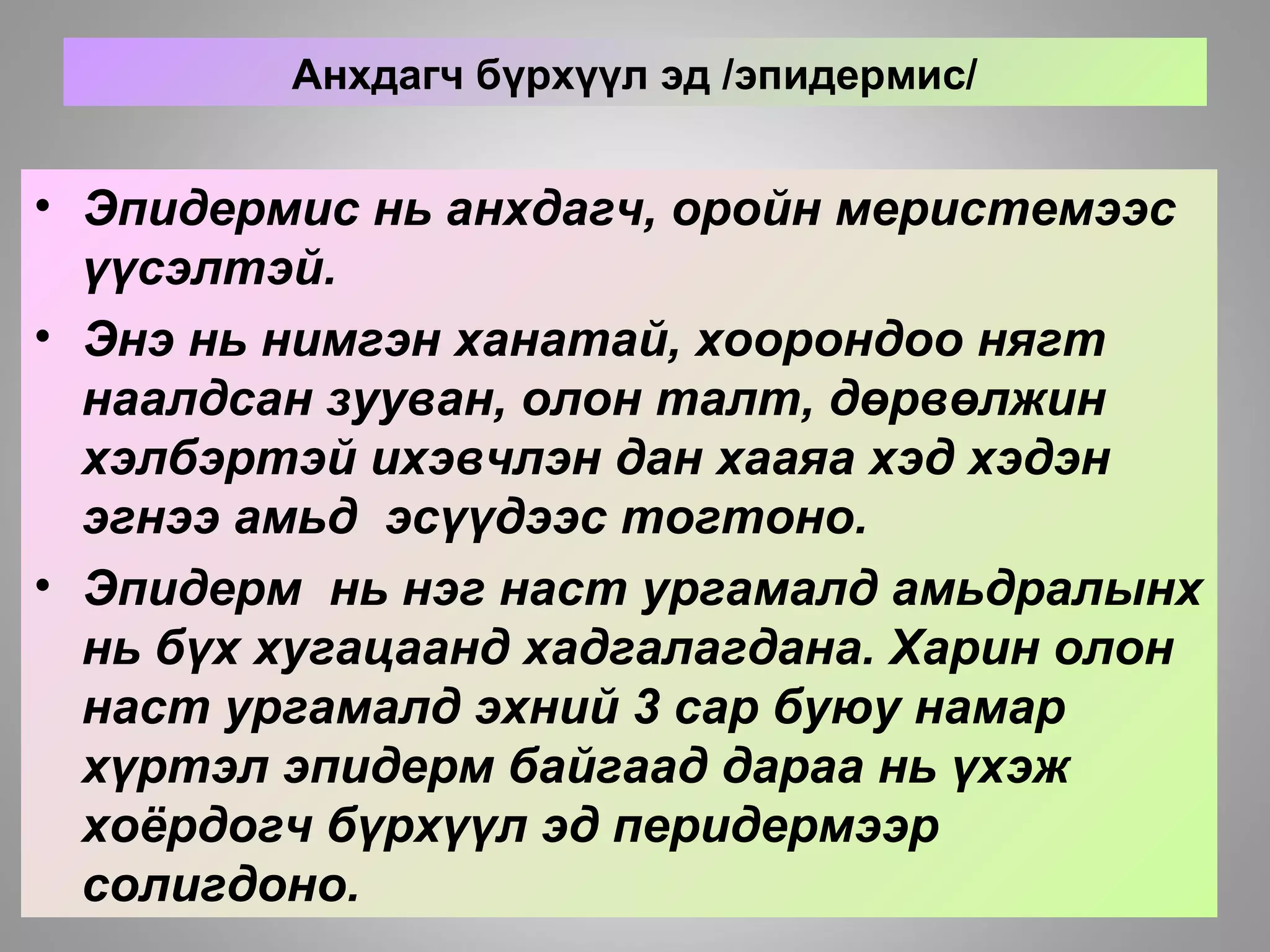 Анхдагч бүрхүүл эд /эпидермис/
• Эпидермис нь анхдагч, оройн меристемээс
үүсэлтэй.
• Энэ нь нимгэн ханатай, хоорондоо нягт
наалдсан зууван, олон талт, дөрвөлжин
хэлбэртэй ихэвчлэн дан хааяа хэд хэдэн
эгнээ амьд эсүүдээс тогтоно.
• Эпидерм нь нэг наст ургамалд амьдралынх
нь бүх хугацаанд хадгалагдана. Харин олон
наст ургамалд эхний 3 сар буюу намар
хүртэл эпидерм байгаад дараа нь үхэж
хоёрдогч бүрхүүл эд перидермээр
солигдоно.
 