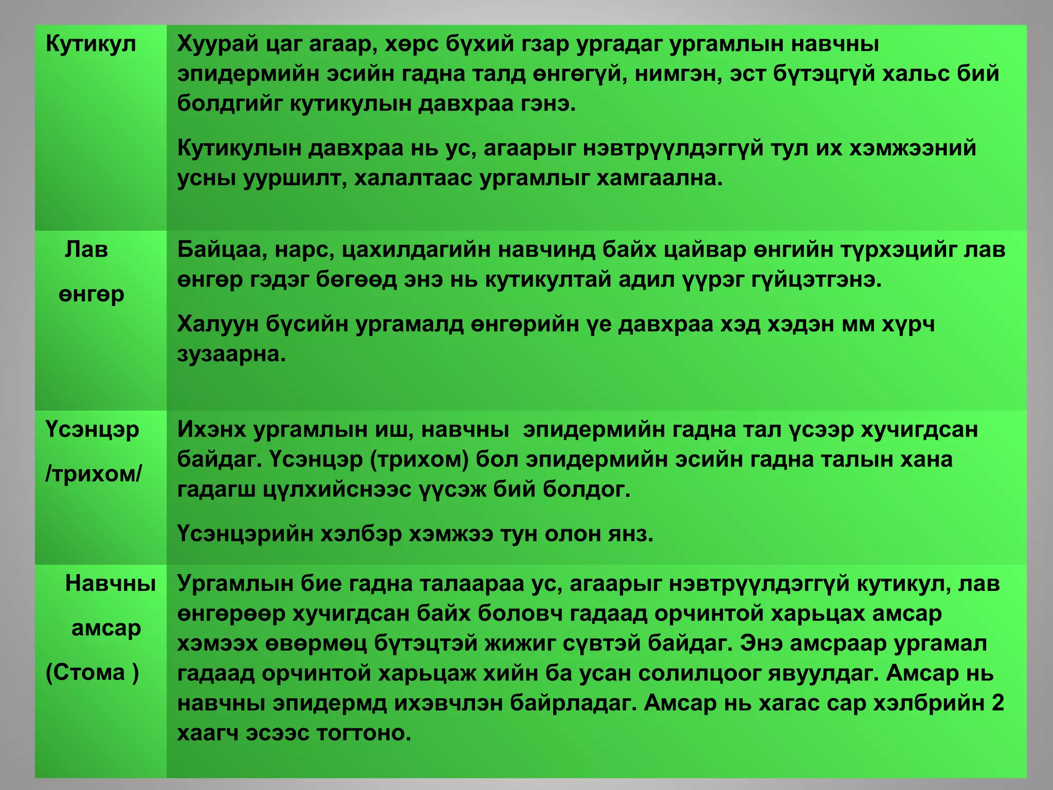 Кутикул Хуурай цаг агаар, хөрс бүхий гзар ургадаг ургамлын навчны
эпидермийн эсийн гадна талд өнгөгүй, нимгэн, эст бүтэцгүй хальс бий
болдгийг кутикулын давхраа гэнэ.
Кутикулын давхраа нь ус, агаарыг нэвтрүүлдэггүй тул их хэмжээний
усны ууршилт, халалтаас ургамлыг хамгаална.
Лав
өнгөр
Байцаа, нарс, цахилдагийн навчинд байх цайвар өнгийн түрхэцийг лав
өнгөр гэдэг бөгөөд энэ нь кутикултай адил үүрэг гүйцэтгэнэ.
Халуун бүсийн ургамалд өнгөрийн үе давхраа хэд хэдэн мм хүрч
зузаарна.
Үсэнцэр
/трихом/
Ихэнх ургамлын иш, навчны эпидермийн гадна тал үсээр хучигдсан
байдаг. Үсэнцэр (трихом) бол эпидермийн эсийн гадна талын хана
гадагш цүлхийснээс үүсэж бий болдог.
Үсэнцэрийн хэлбэр хэмжээ тун олон янз.
Навчны
амсар
(Стома )
Ургамлын бие гадна талаараа ус, агаарыг нэвтрүүлдэггүй кутикул, лав
өнгөрөөр хучигдсан байх боловч гадаад орчинтой харьцах амсар
хэмээх өвөрмөц бүтэцтэй жижиг сүвтэй байдаг. Энэ амсраар ургамал
гадаад орчинтой харьцаж хийн ба усан солилцоог явуулдаг. Амсар нь
навчны эпидермд ихэвчлэн байрладаг. Амсар нь хагас сар хэлбрийн 2
хаагч эсээс тогтоно.
 