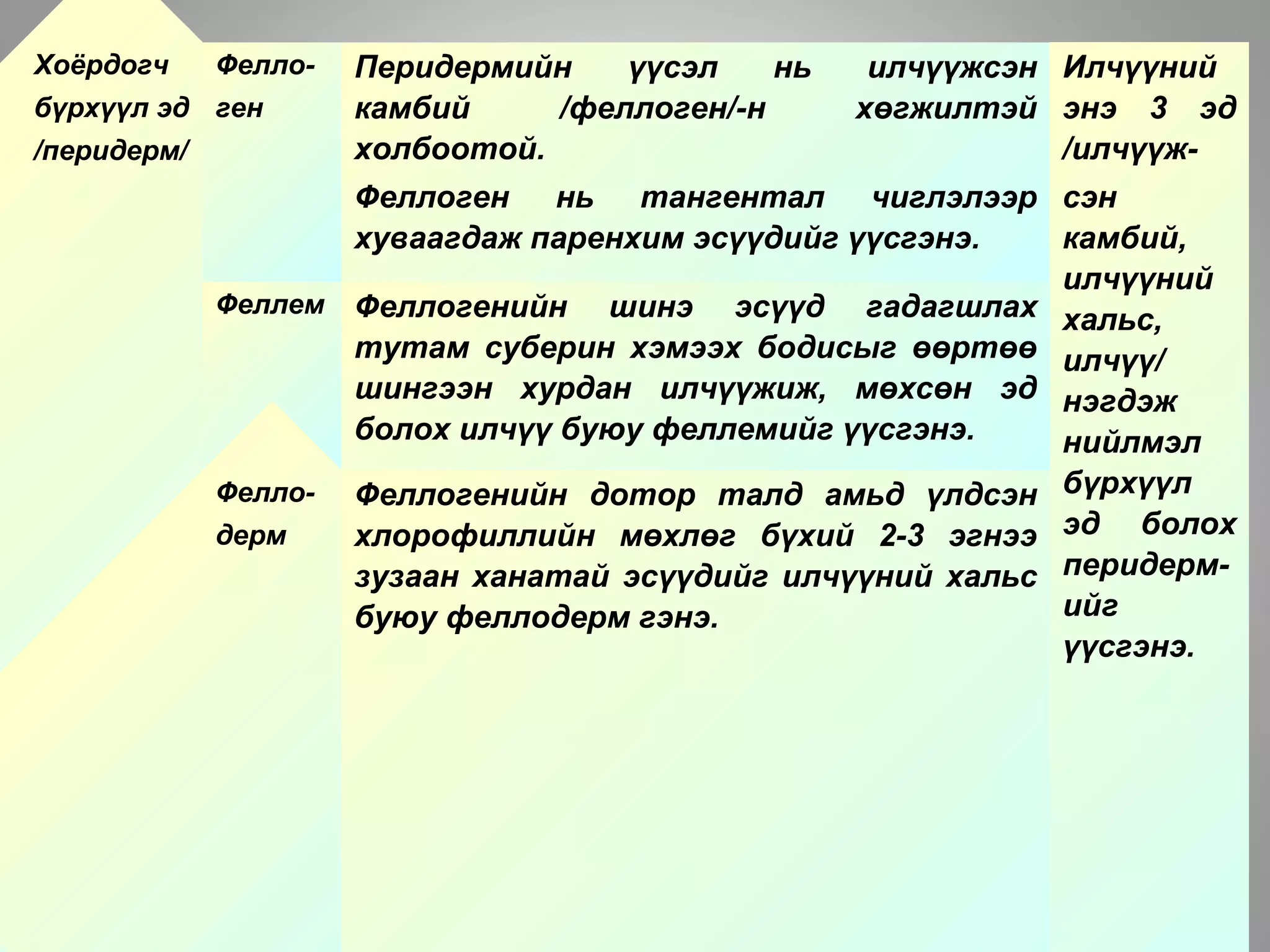 Хоёрдогч
бүрхүүл эд
/перидерм/
Фелло-
ген
Перидермийн үүсэл нь илчүүжсэн
камбий /феллоген/-н хөгжилтэй
холбоотой.
Феллоген нь тангентал чиглэлээр
хуваагдаж паренхим эсүүдийг үүсгэнэ.
Илчүүний
энэ 3 эд
/илчүүж-
сэн
камбий,
илчүүний
хальс,
илчүү/
нэгдэж
нийлмэл
бүрхүүл
эд болох
перидерм-
ийг
үүсгэнэ.
Феллем Феллогенийн шинэ эсүүд гадагшлах
тутам суберин хэмээх бодисыг өөртөө
шингээн хурдан илчүүжиж, мөхсөн эд
болох илчүү буюу феллемийг үүсгэнэ.
Фелло-
дерм
Феллогенийн дотор талд амьд үлдсэн
хлорофиллийн мөхлөг бүхий 2-3 эгнээ
зузаан ханатай эсүүдийг илчүүний хальс
буюу феллодерм гэнэ.
 