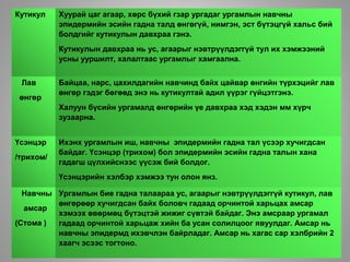 Lecture3 | PPT