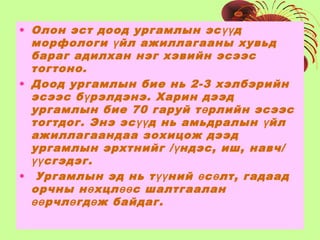Lecture3 | PPT
