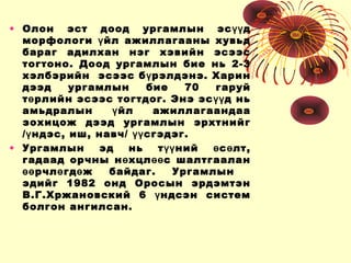 Lecture3 | PPT