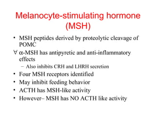 Melanocyte-stimulating hormone
(MSH)
• MSH peptides derived by proteolytic cleavage of
POMC
∀ α-MSH has antipyretic and anti-inflammatory
effects
– Also inhibits CRH and LHRH secretion

•
•
•
•

Four MSH receptors identified
May inhibit feeding behavior
ACTH has MSH-like activity
However– MSH has NO ACTH like activity

 
