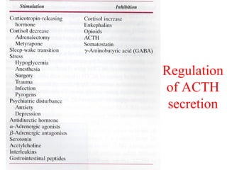 Regulation
of ACTH
secretion

 