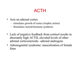 ACTH
• Acts on adrenal cortex
– stimulates growth of cortex (trophic action)
– Stimulates steroid hormone synthesis

• Lack of negative feedback from cortisol results in
aberrantly high ACTH, elevated levels of other
adrenal corticosteroids– adrenal androgens
• Adrenogenital syndrome: masculization of female
fetus

 