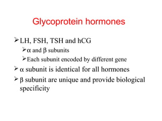 Glycoprotein hormones
 LH, FSH, TSH and hCG
α and β subunits
Each subunit encoded by different gene
 α subunit is identical for all hormones
 β subunit are unique and provide biological

specificity

 