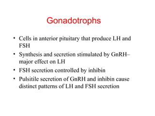 Gonadotrophs
• Cells in anterior pituitary that produce LH and
FSH
• Synthesis and secretion stimulated by GnRH–
major effect on LH
• FSH secretion controlled by inhibin
• Pulsitile secretion of GnRH and inhibin cause
distinct patterns of LH and FSH secretion

 